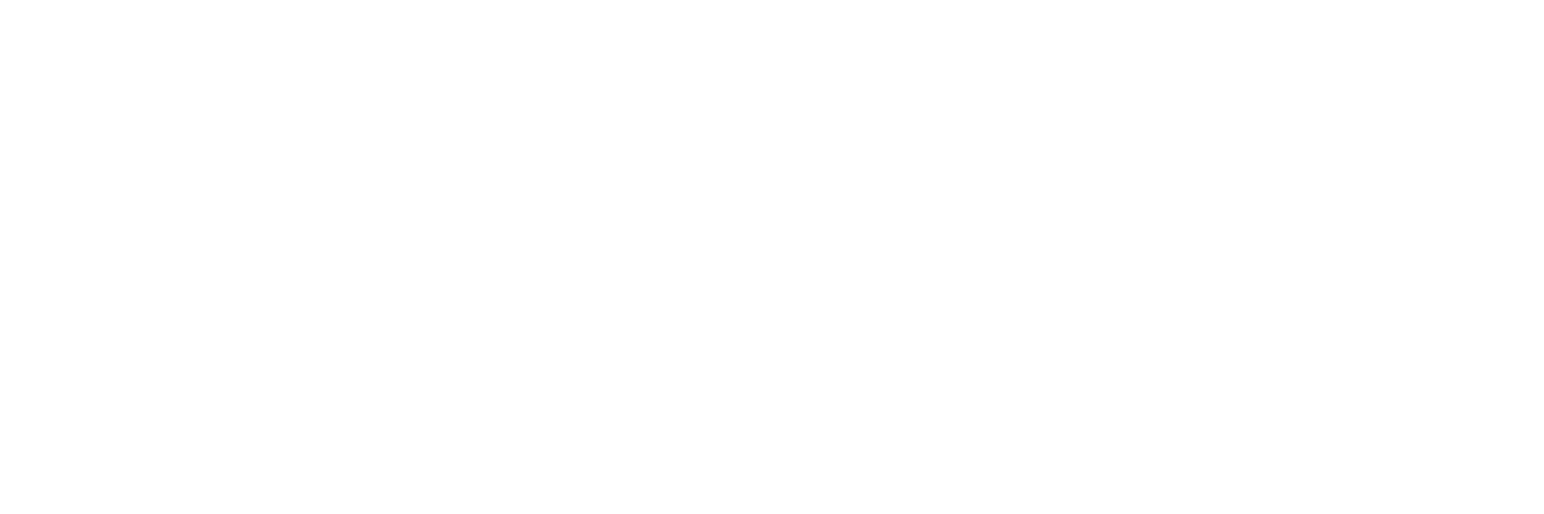 Sanad POS
